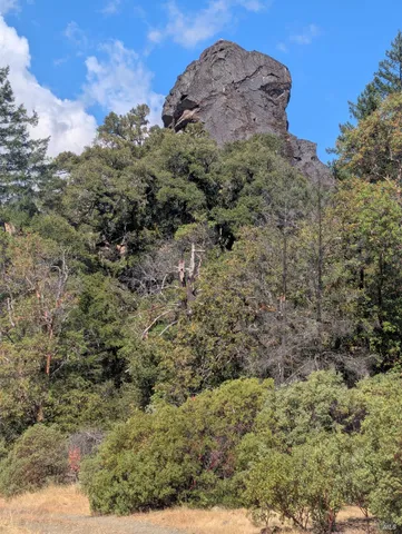 a view of a bunch of trees