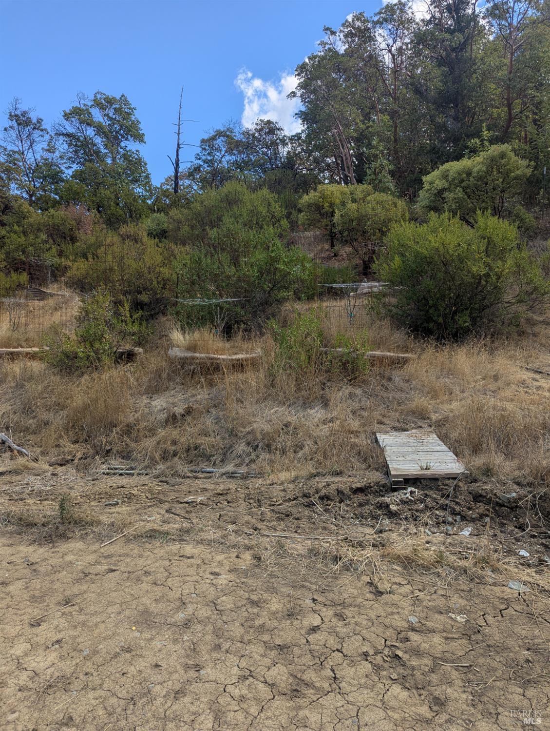 59002 George Washington Rock Road Laytonville, CA 95454 - Photo 17 of 38 Above the cabin. Close to completely cleaned property.