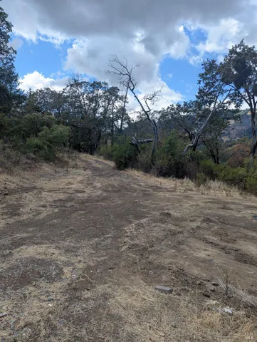 a view of a dry yard with mountains in the background