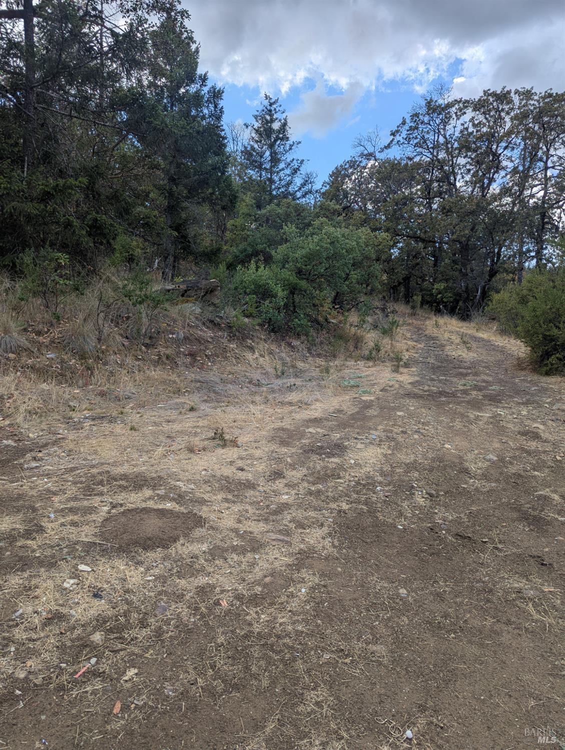 59002 George Washington Rock Road Laytonville, CA 95454 - Photo 22 of 38