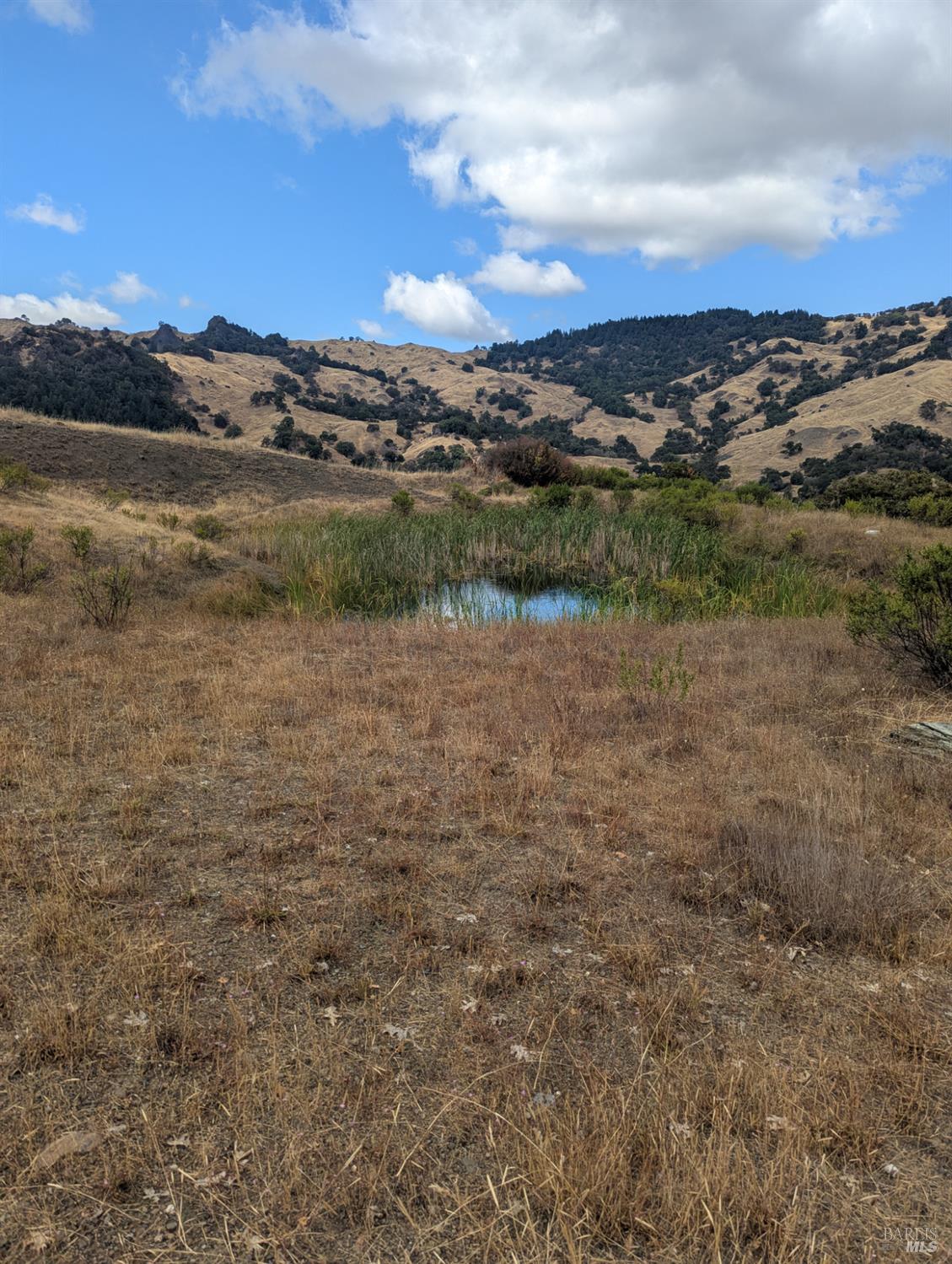 59002 George Washington Rock Road Laytonville, CA 95454 - Photo 27 of 38 Another small pond.
