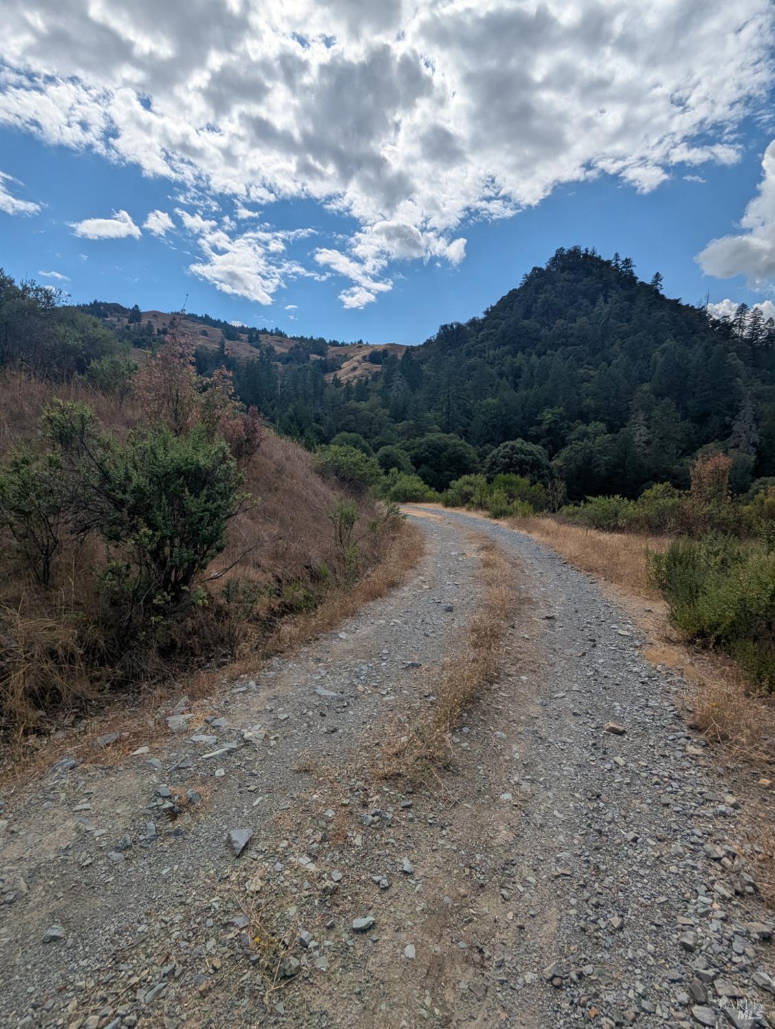 59002 George Washington Rock Road Laytonville, CA 95454 - Photo 28 of 38 Internal Road looking mostly West.