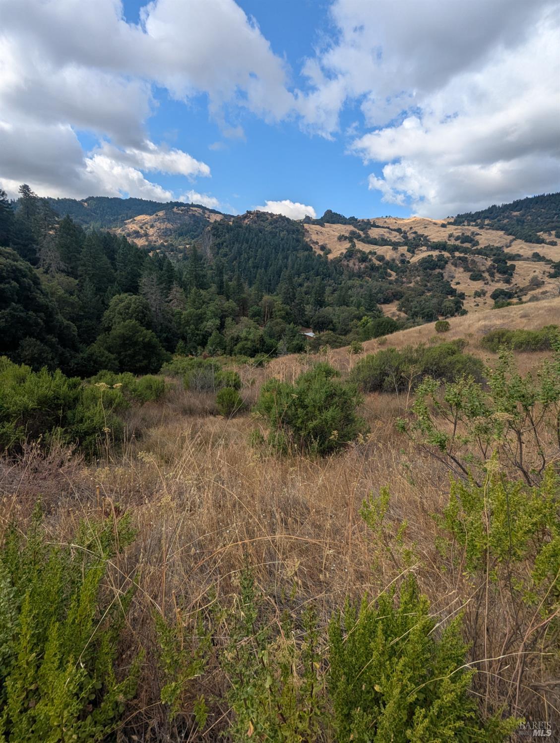 59002 George Washington Rock Road Laytonville, CA 95454 - Photo 29 of 38 There is pond in here. Looking North.