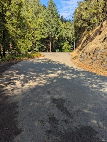 a view of dirt yard with a large tree