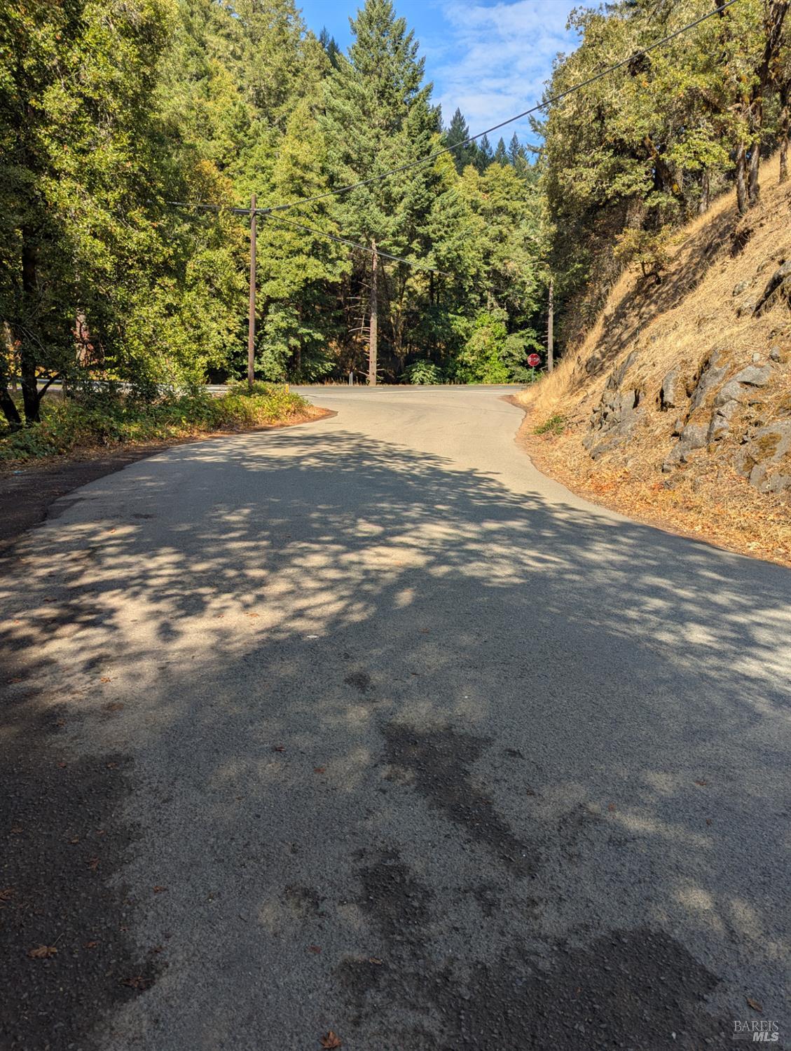 59002 George Washington Rock Road Laytonville, CA 95454 - Photo 3 of 38 As you wind your way up Mendocino County maintained portion of ranch road. Just graded. Recent fuels treatment makes it extra pretty.