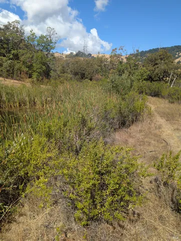 a view of a lake with mountains in the background