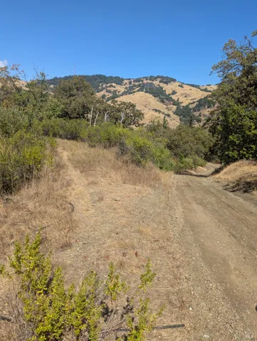 a view of a dry yard with mountains in the background