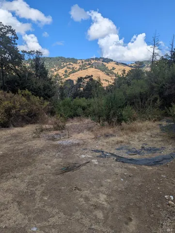 a view of a dry yard with wooden fence