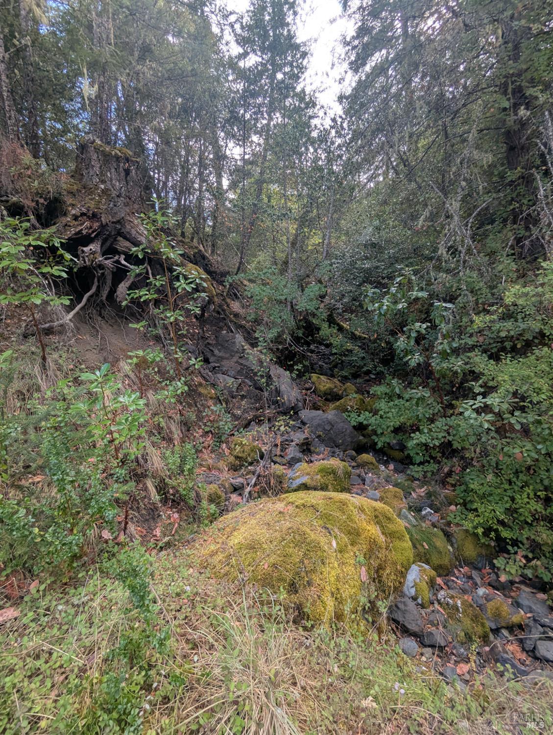 59002 George Washington Rock Road Laytonville, CA 95454 - Photo 38 of 38 Strong seasonal creek with all year springs.