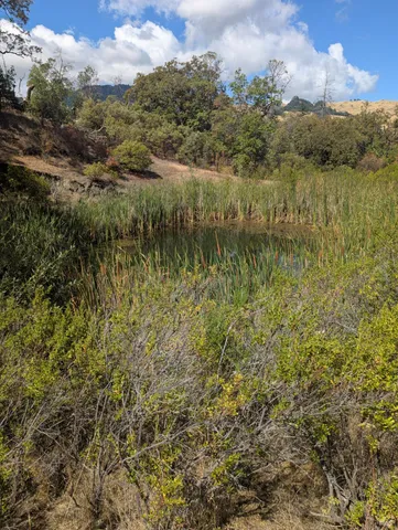 a view of lake with green space