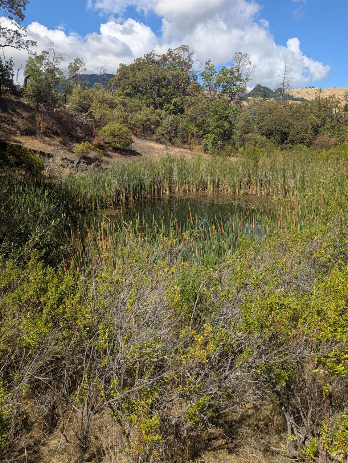 59002 George Washington Rock Road Laytonville, CA 95454 - Photo 7 of 38 There is a little pond there I swear and it is full of water which is a good sign in Mid September.
