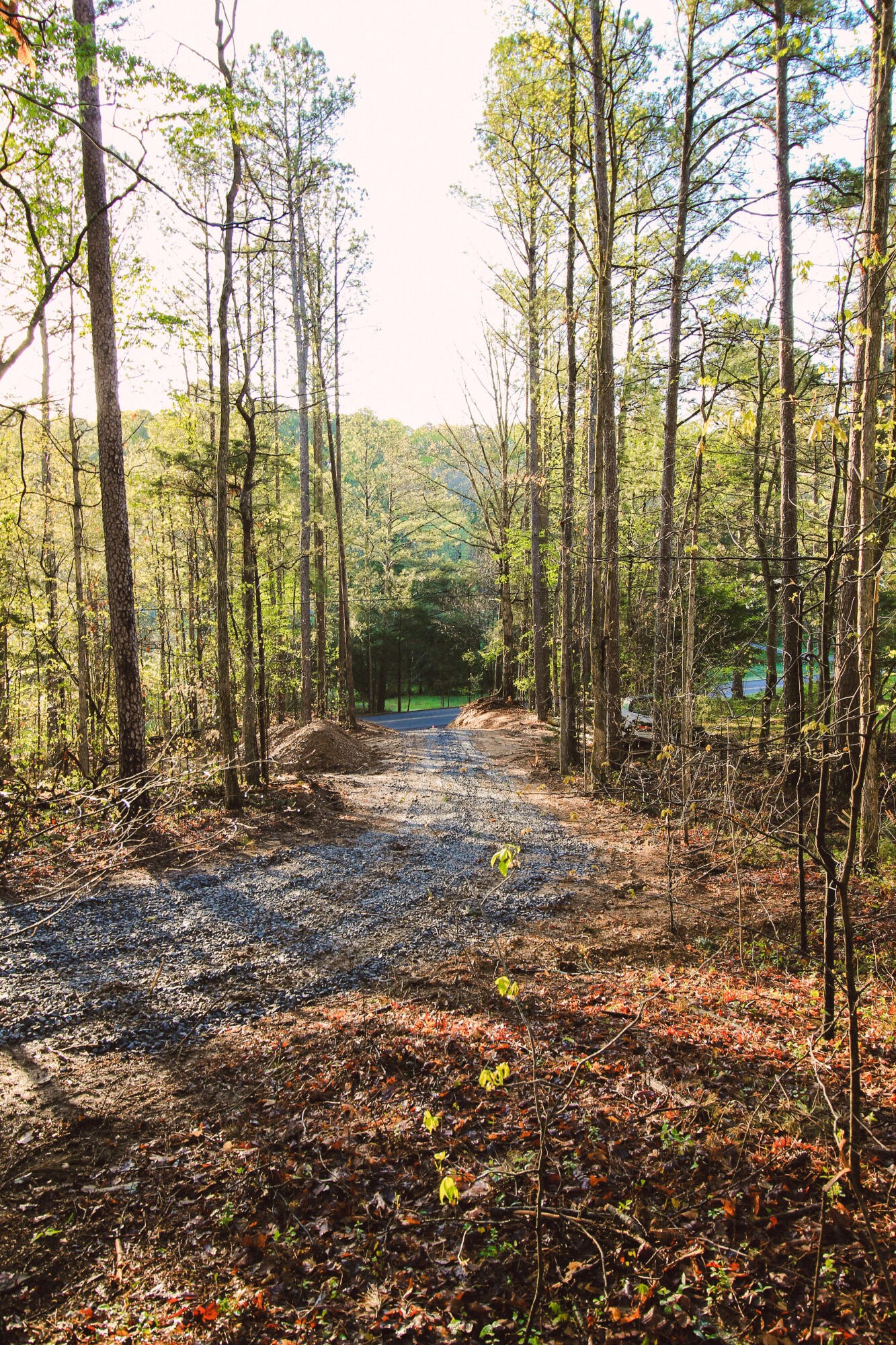 0 Old Alabama Road Southwest McDonald, TN 37353 - Photo 2 of 10 Gallery Image 2