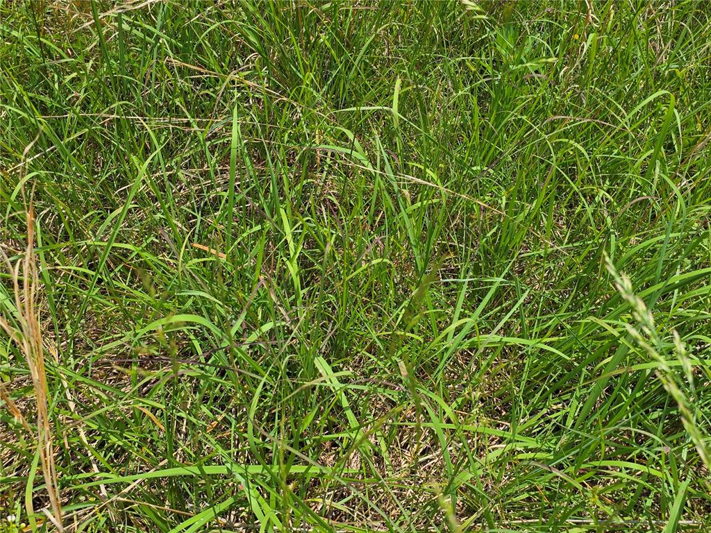 3109 Cr Ww Mountain View, MO 65548 - Photo 28 of 42