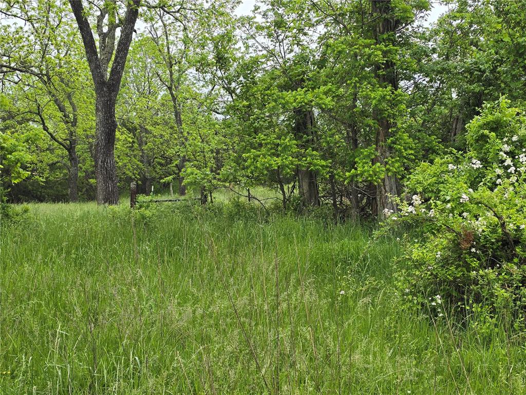 3109 Cr Ww Mountain View, MO 65548 - Photo 29 of 42