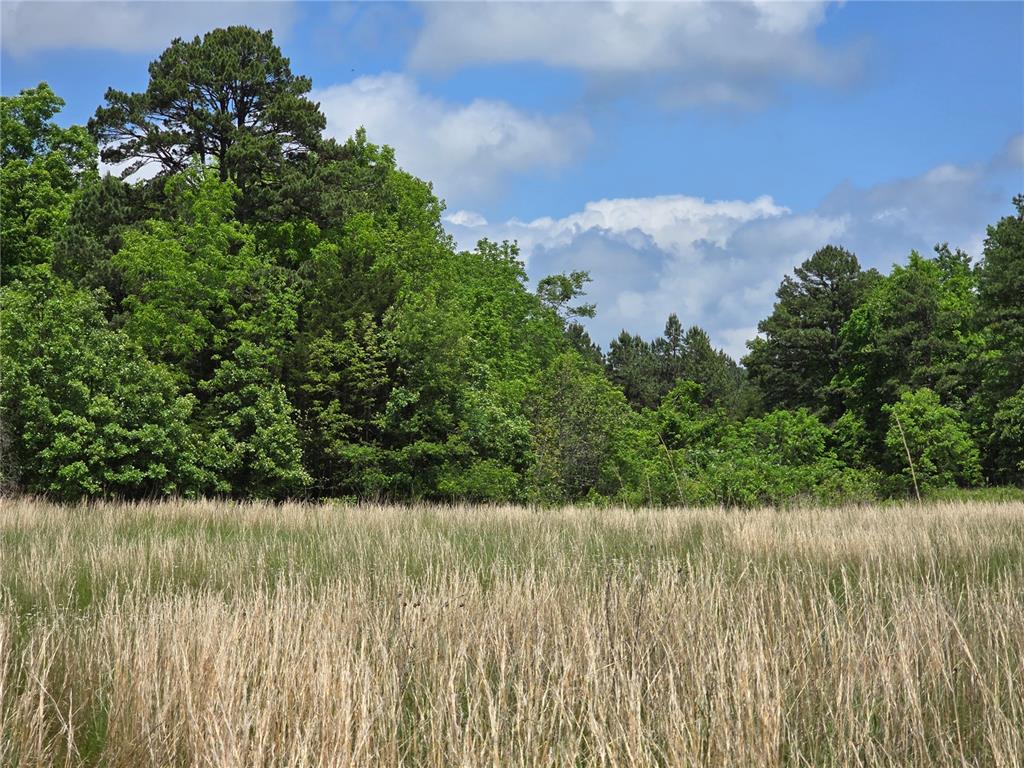 3109 Cr Ww Mountain View, MO 65548 - Photo 31 of 42