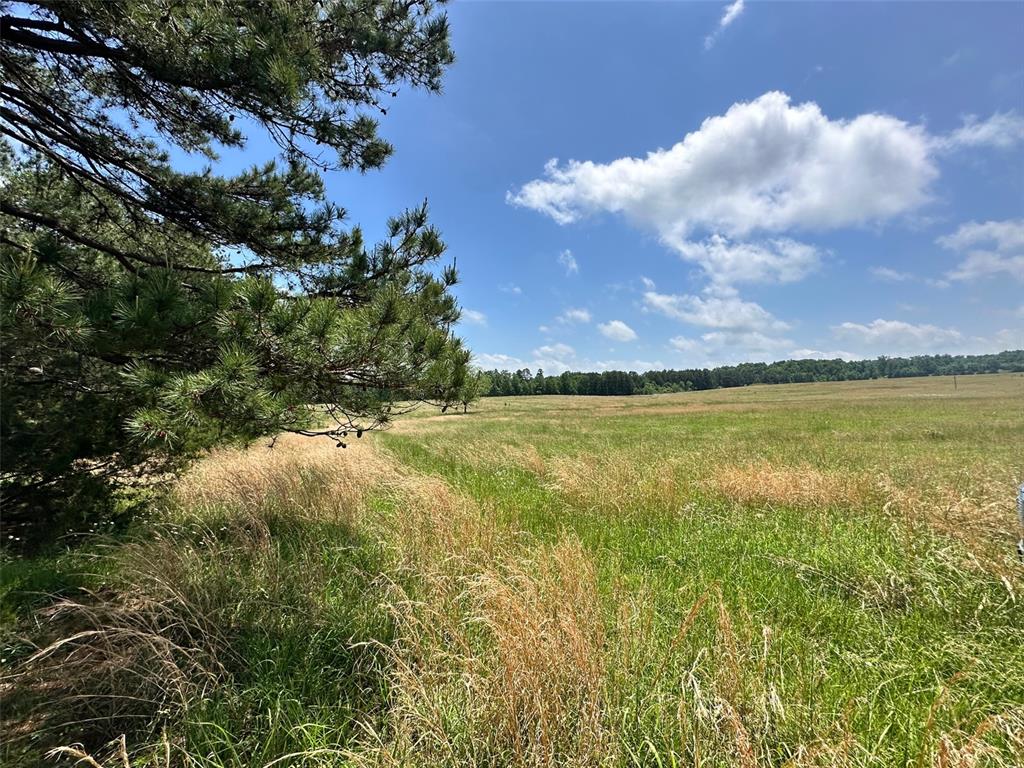 3109 Cr Ww Mountain View, MO 65548 - Photo 35 of 42