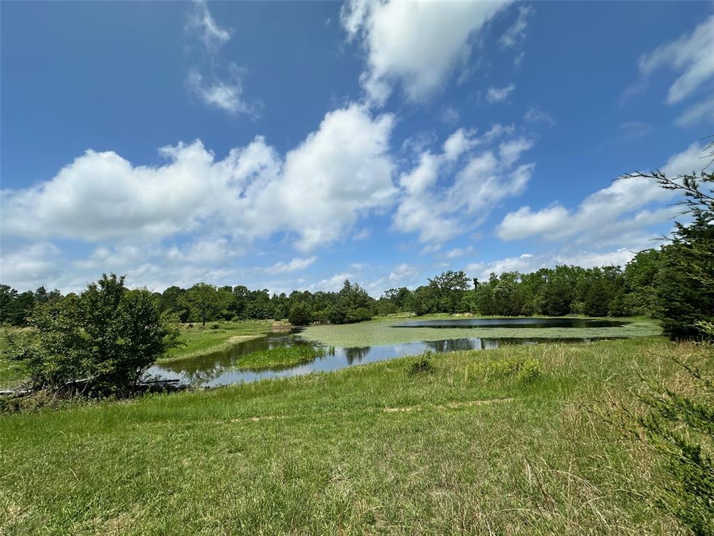 3109 Cr Ww Mountain View, MO 65548 - Photo 37 of 42