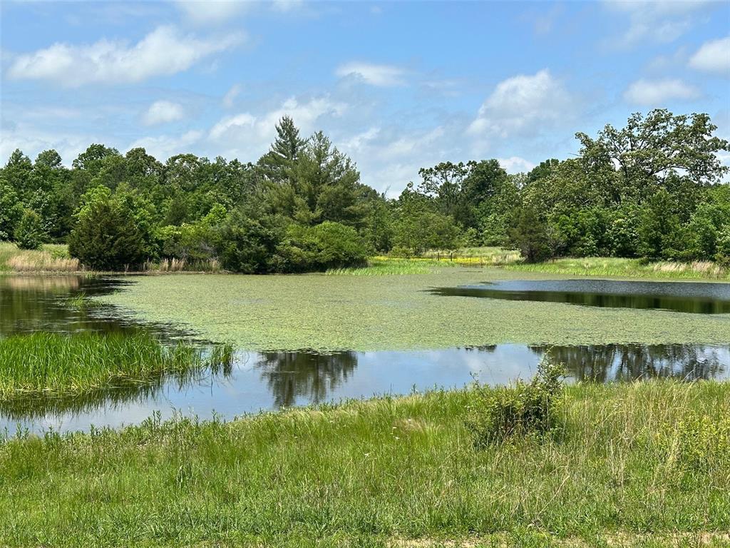 3109 Cr Ww Mountain View, MO 65548 - Photo 38 of 42