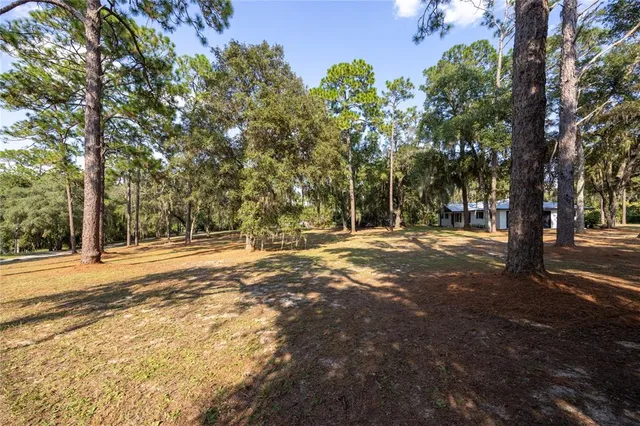 a house that has a tree in front of it