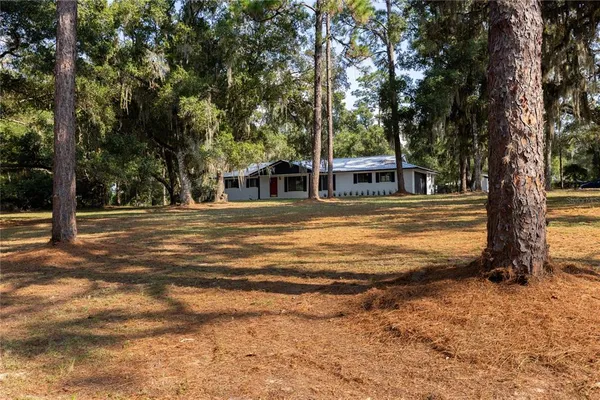 a view of outdoor space with trees