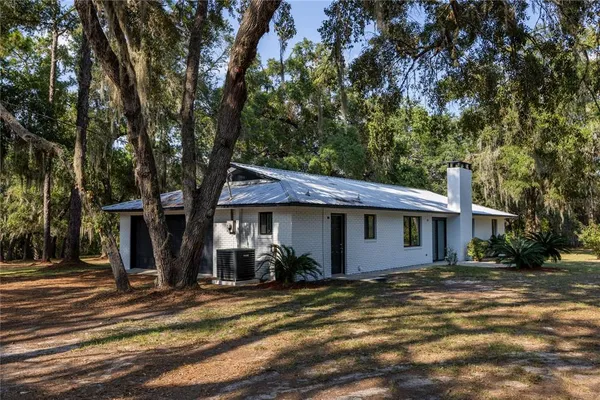 a view of a backyard with plants and large trees