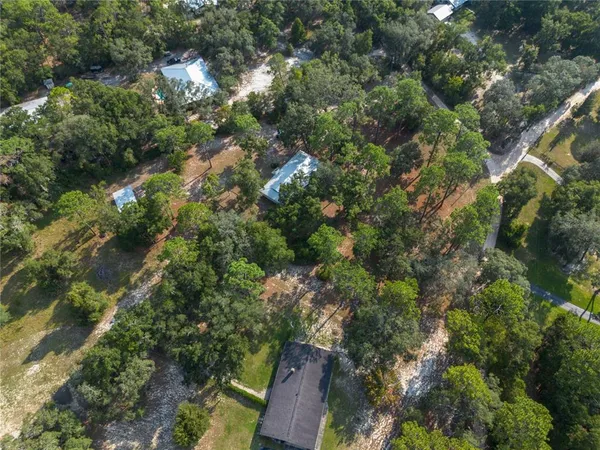 an aerial view of a house with a yard and large trees