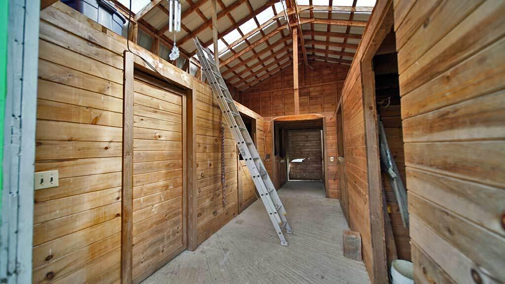 2316 Bancroft Road Bancroft, ME 04497 - Photo 47 of 62 horse-pony-farm-barn-stalls
