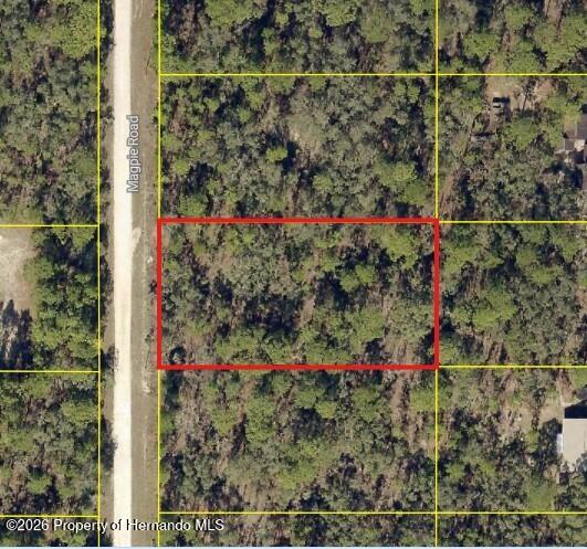 16026 Magpie Road Brooksville, FL 34614 - Photo 3 of 5