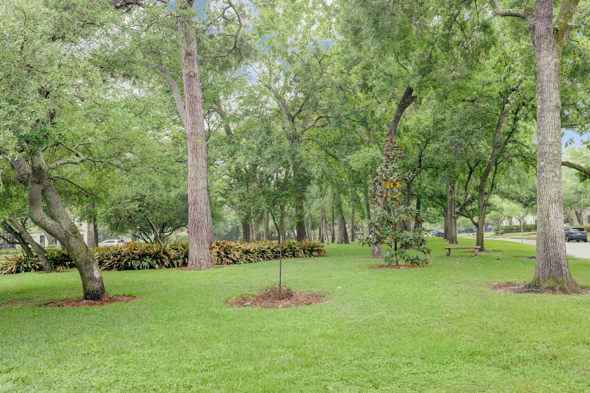 3735 Del Monte Drive Houston, TX 77019 - Photo 21 of 21 Del Monte Park across the street