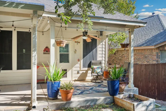 a potted plant sitting in front of a building