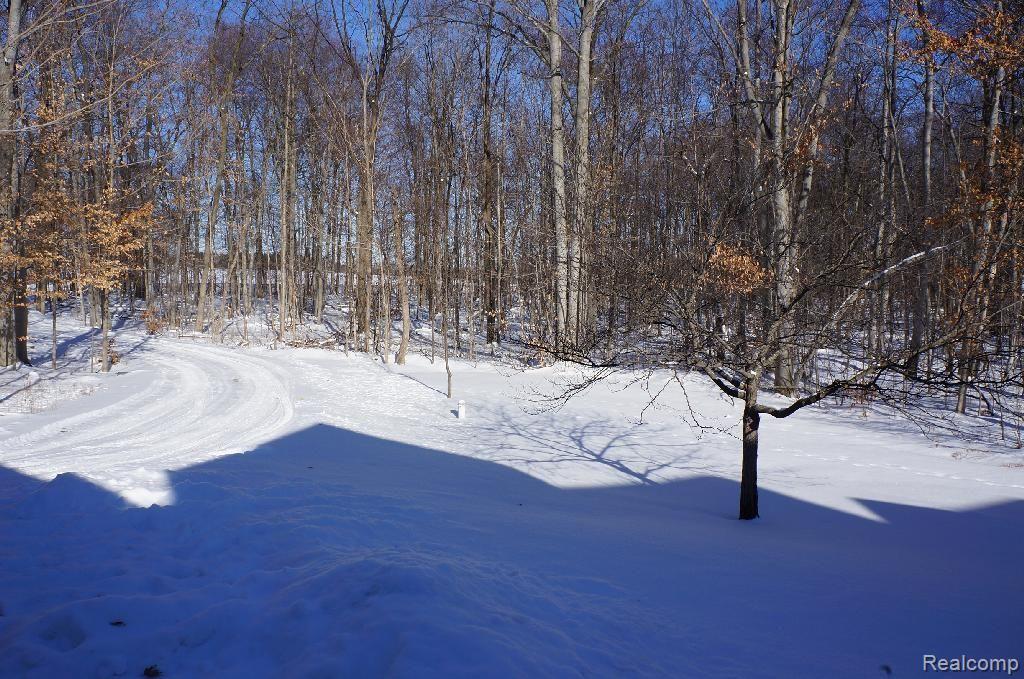 6872 General Squier Road Almont, MI 48003 - Photo 56 of 57 snow view of property & driveway