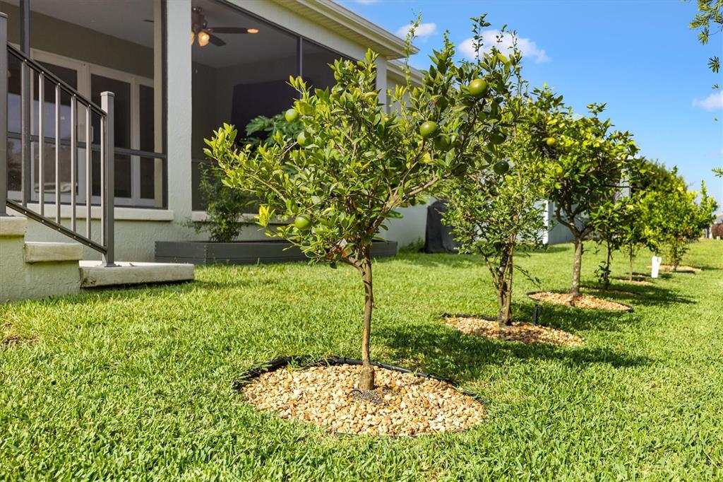575 Randall Road The Villages, FL 32163 - Photo 31 of 49 Gallery Image 31