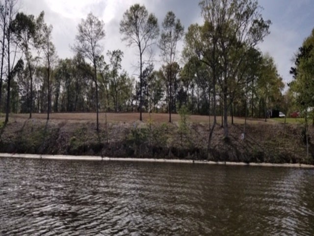 0 Kirkpatrick Road Andalusia, AL 36421 - Photo 2 of 3 Gallery Image 2