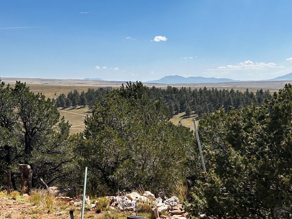 66 Hopi Road Westcliffe, CO 81252 - Photo 63 of 64 Gallery Image 63