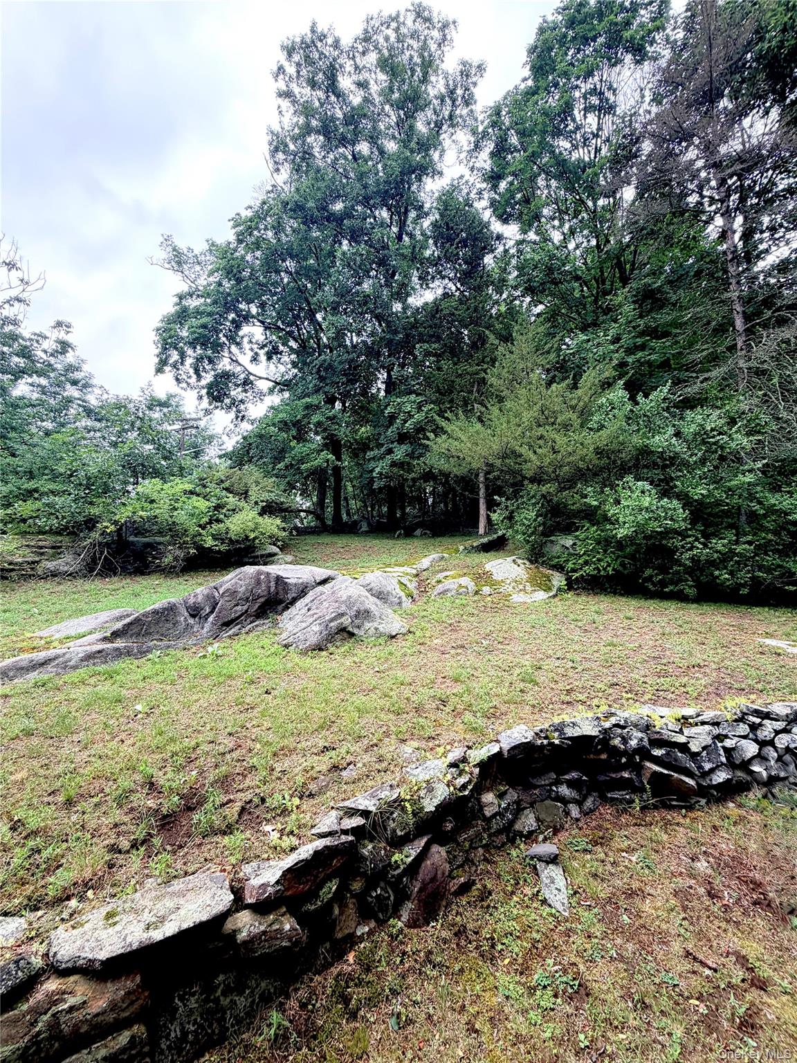 16 Grove Road White Plains, NY 10603 - Photo 4 of 4 Large tiered yard surrounded by mature specimens