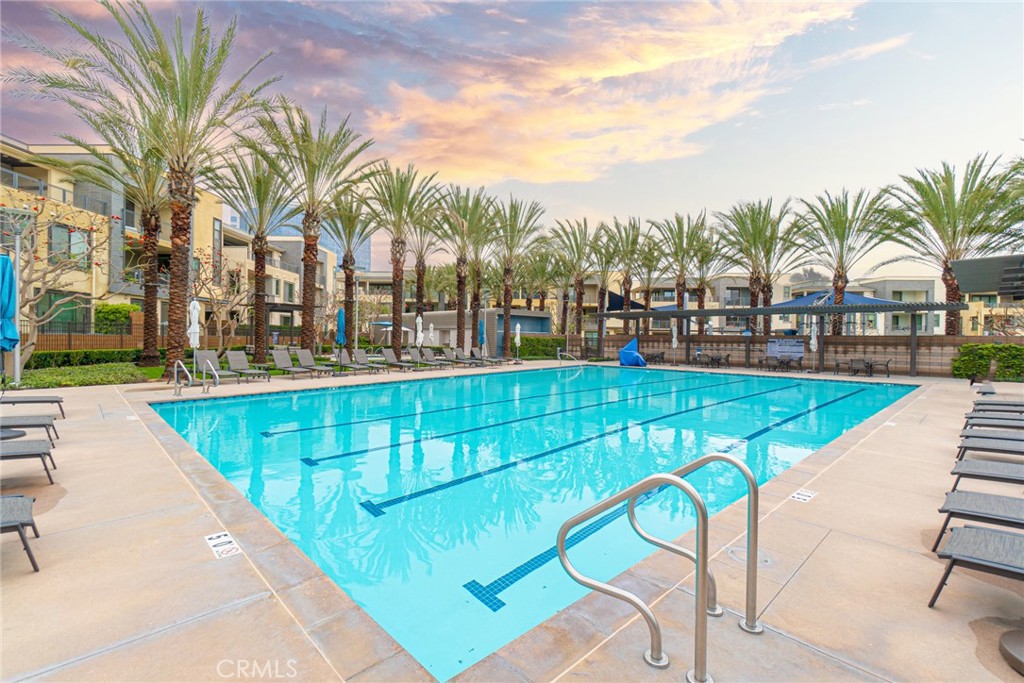 185 Tribeca Irvine, CA 92612 - Photo 42 of 55 a view of swimming pool with outdoor seating and palm trees