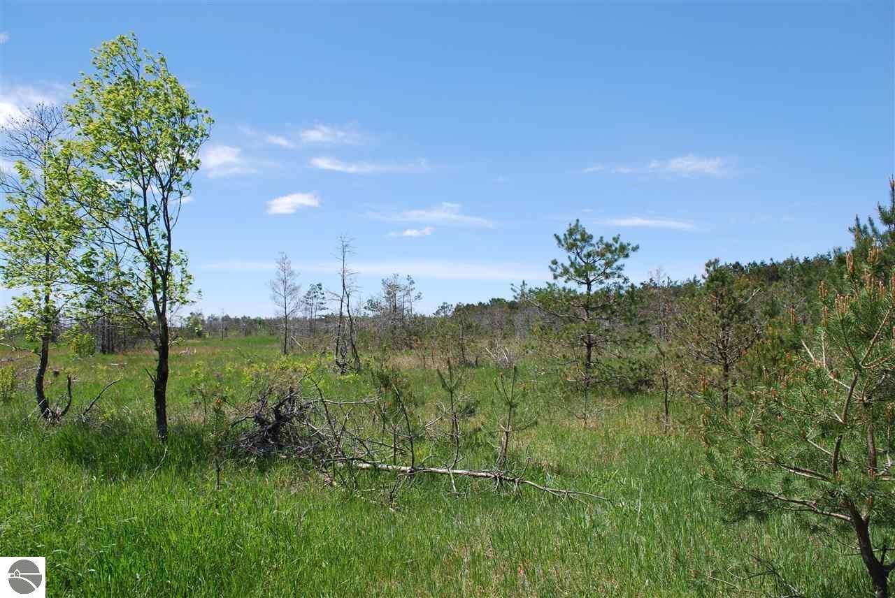 Parcel #3 Southeast Parcel Road Kalkaska, MI 49646 - Photo 8 of 8