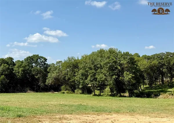 a view of a field with trees in the background