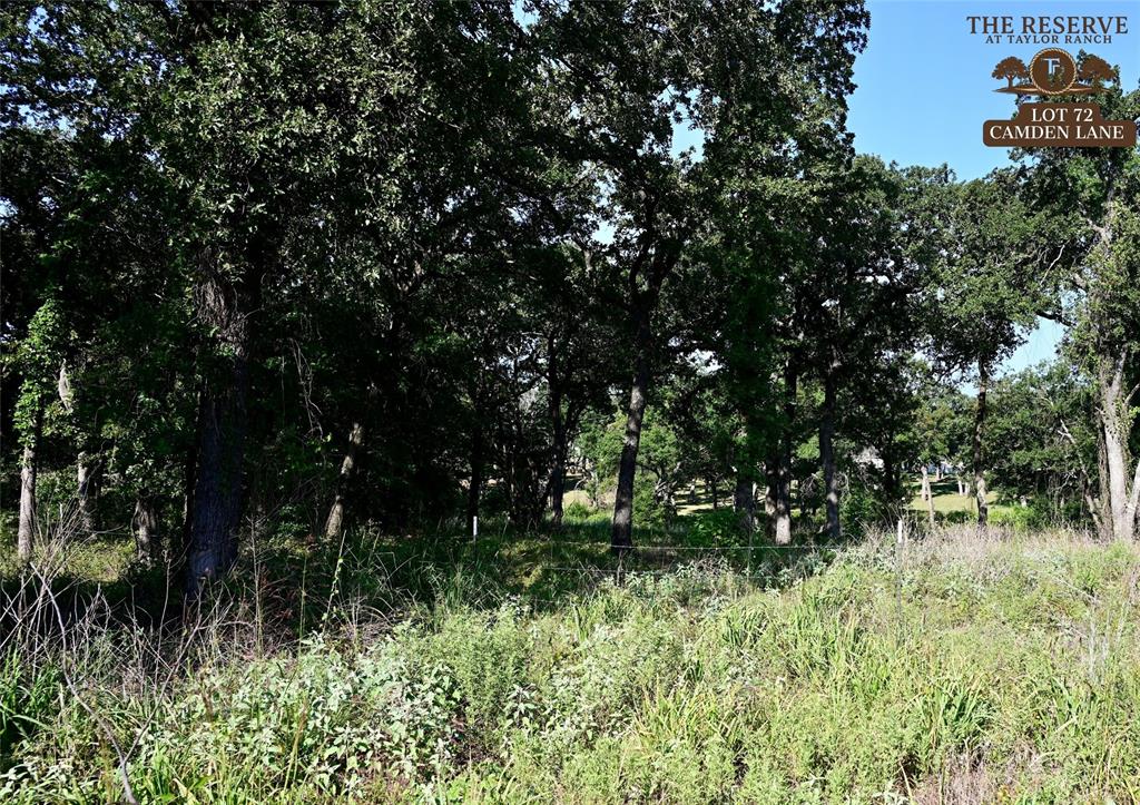 Lot 42 Colt Road Springtown, TX 76082 - Photo 2 of 7 a view of a garden