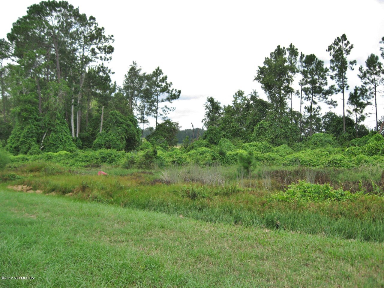 100 Yearling Road Interlachen, FL 32148 - Photo 11 of 20 View of Marshy Boyd Lake