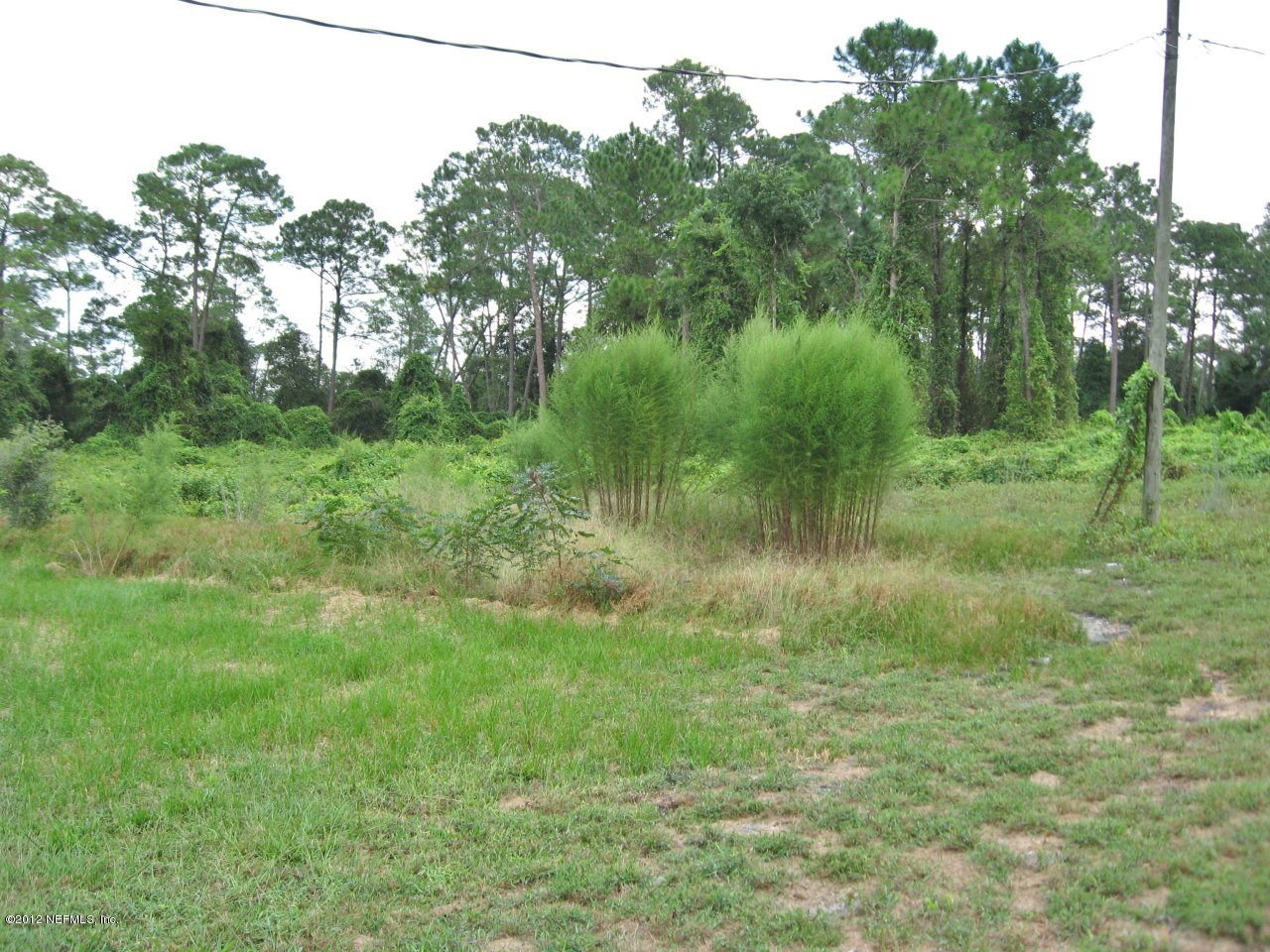 100 Yearling Road Interlachen, FL 32148 - Photo 17 of 20 Side Yard on right