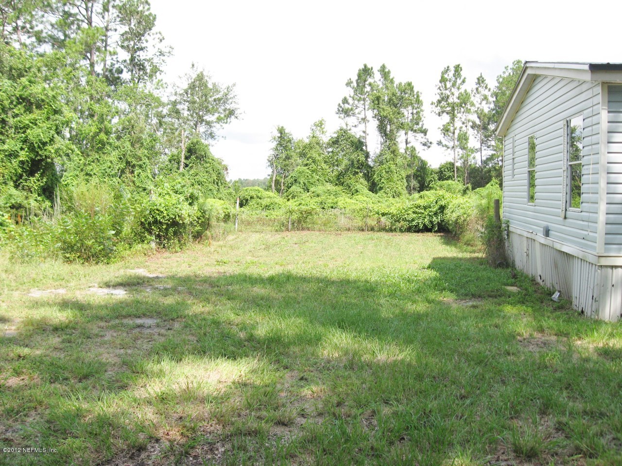 100 Yearling Road Interlachen, FL 32148 - Photo 18 of 20 Side Yard on left