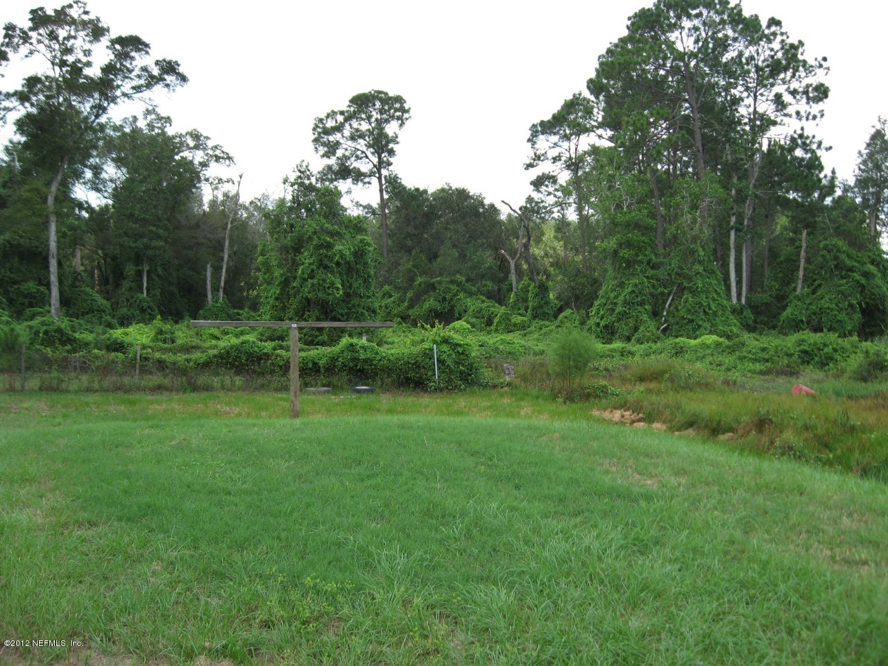 100 Yearling Road Interlachen, FL 32148 - Photo 19 of 20 Back Yard