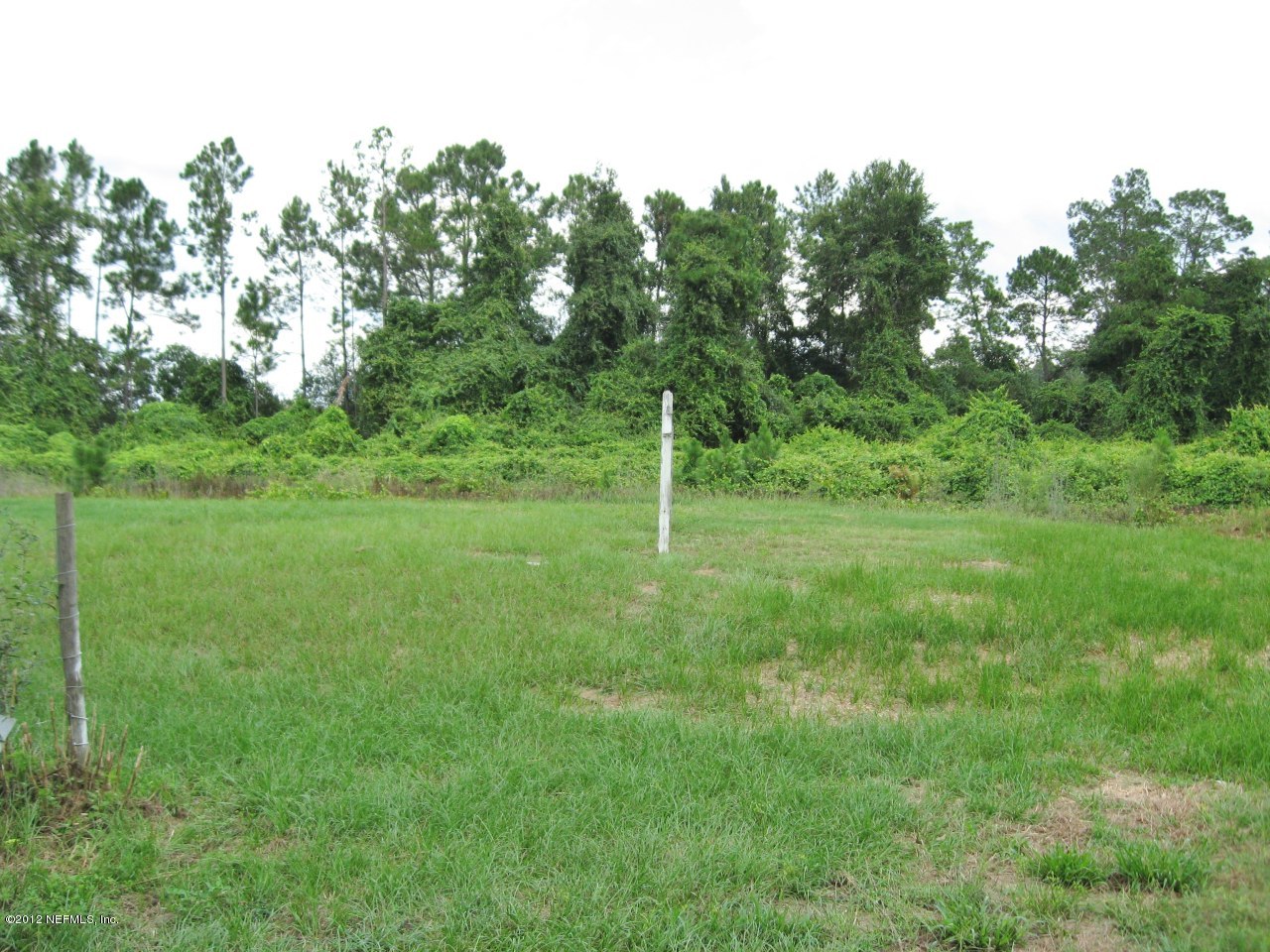 100 Yearling Road Interlachen, FL 32148 - Photo 20 of 20 Back Yard II