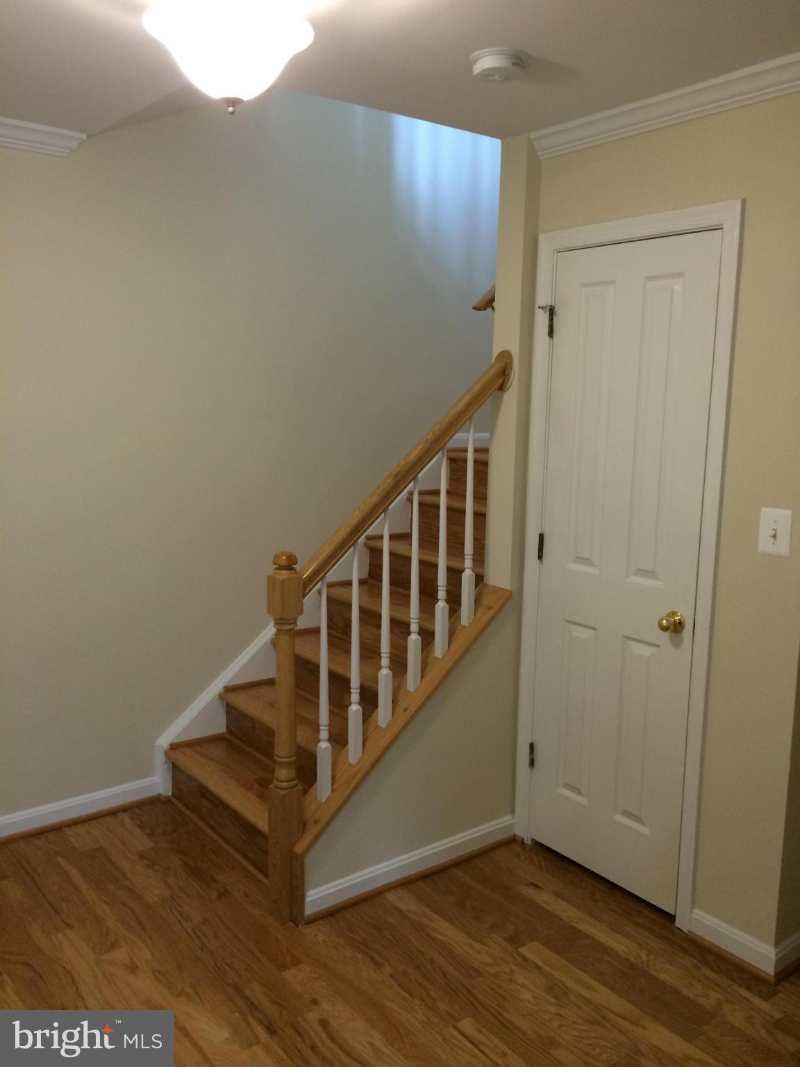 4653 Lambert Drive Alexandria, VA 22311 - Photo 9 of 25 Exterior (General)