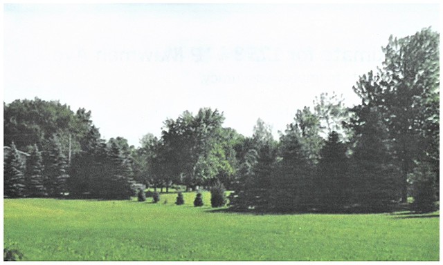 a view of grassy field with trees