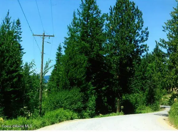 $118,000 | Nka South Tamarack Ridge Road, Cataldo, ID 83810