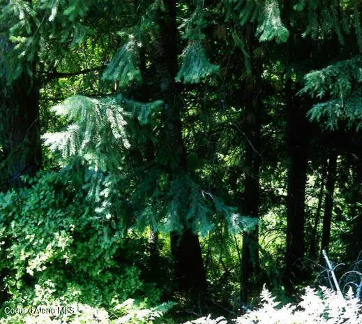 $118,000 | Nka South Tamarack Ridge Road, Cataldo, ID 83810