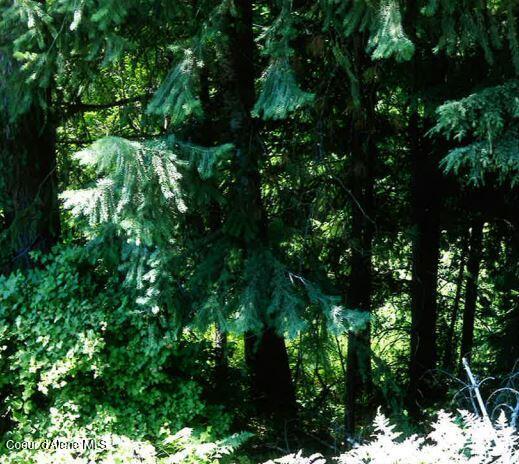 Nka South Tamarack Ridge Road Cataldo, ID 83810 - Photo 3 of 7 2