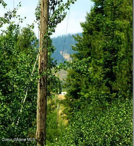 $118,000 | Nka South Tamarack Ridge Road, Cataldo, ID 83810